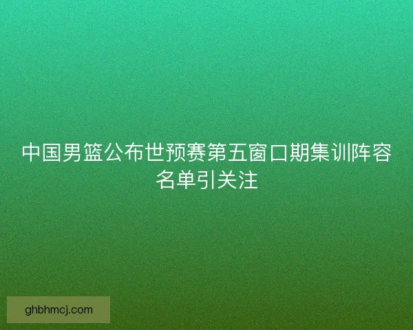 中国男篮公布世预赛第五窗口期集训阵容名单引关注